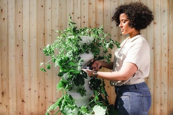 Les multiples bienfaits du jardinage sur la santé